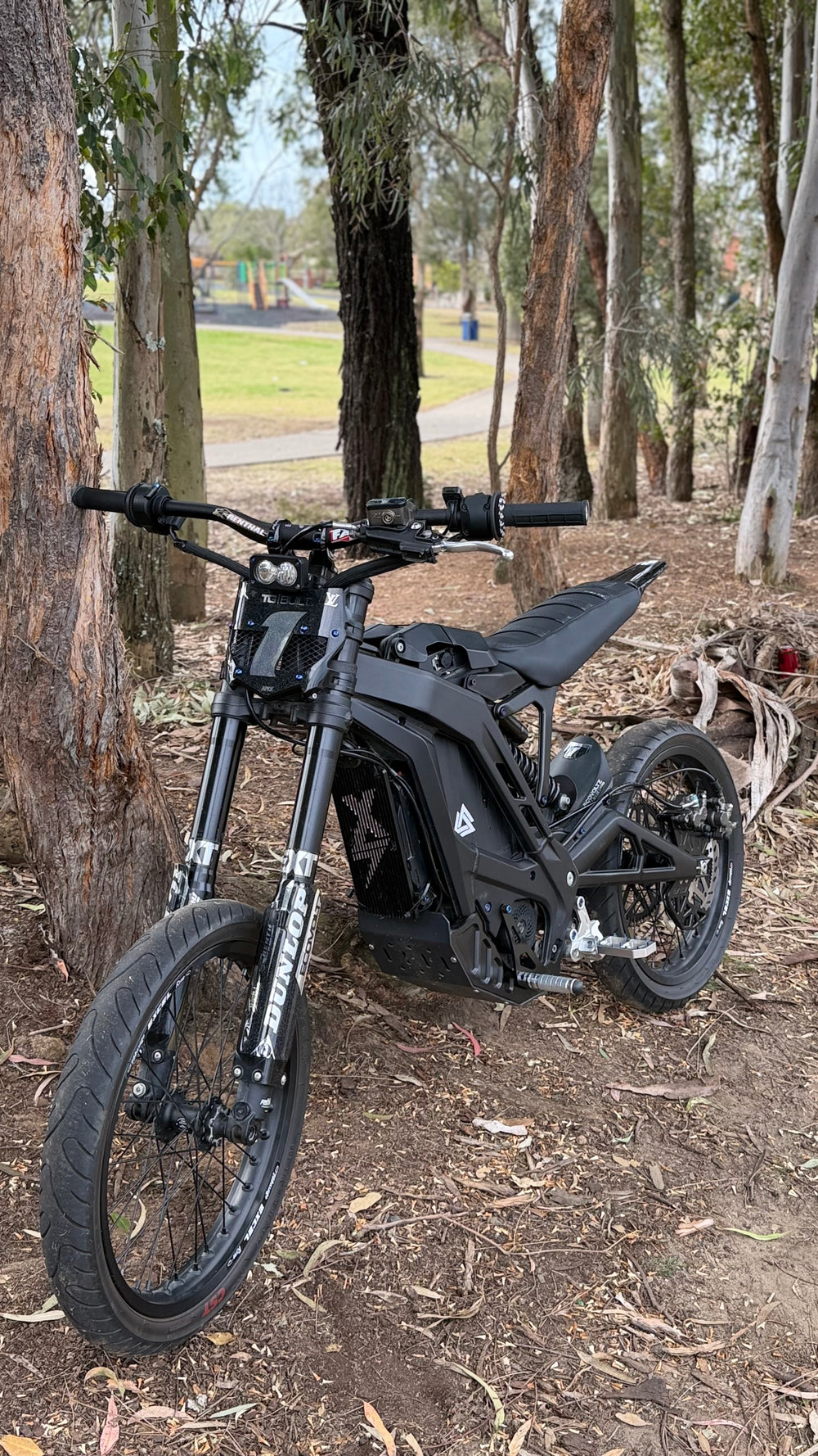 E Ride Pro